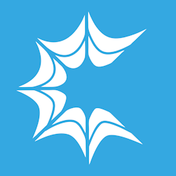 Webintex Logo